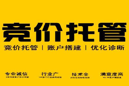 SEM代运营服务公司案例：打造高质量广告内容